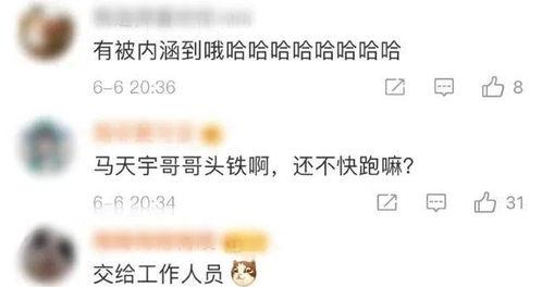 圈内人爆料杨紫最新消息,圈内人爆料,精彩内容抢先看!